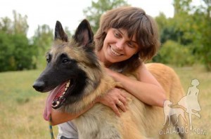 Tervuren dog with his owner